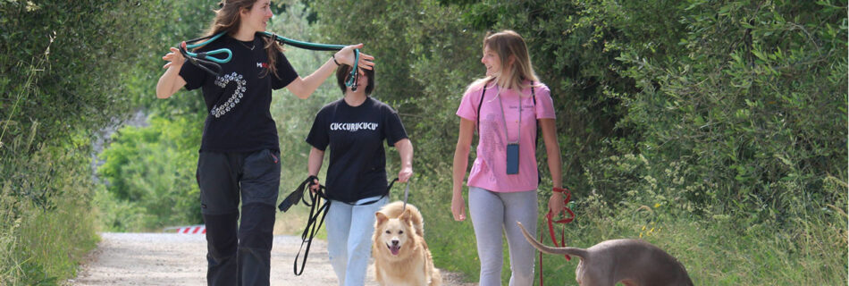 Diletta in uscita con due padroni e i loro cani
