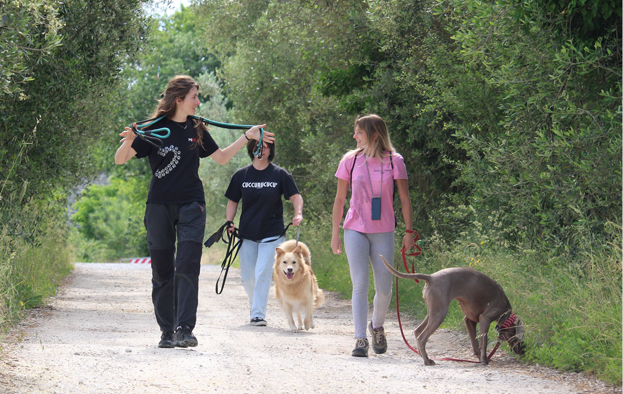 Diletta in uscita con due padroni e i loro cani