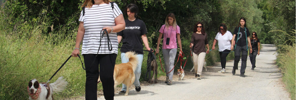 Tutti fuori, padroni e cani durante una classe extra urbana