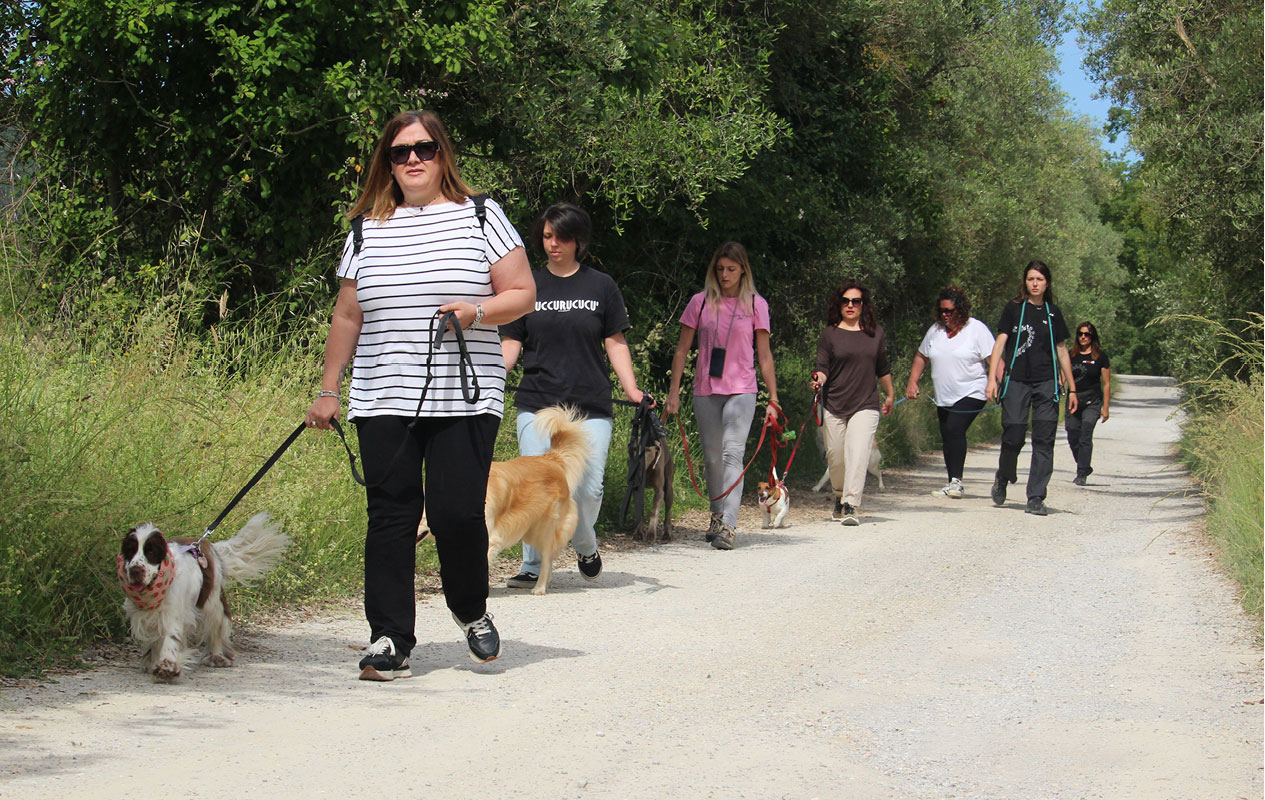 Tutti fuori, padroni e cani durante una classe extra urbana
