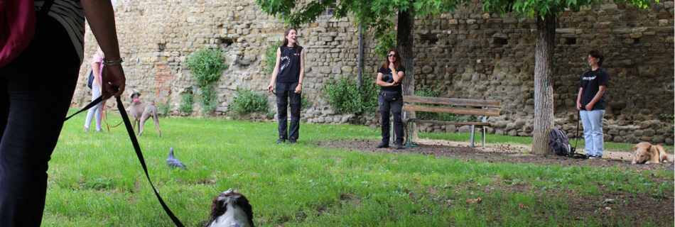 Lezione di gruppo in urbana