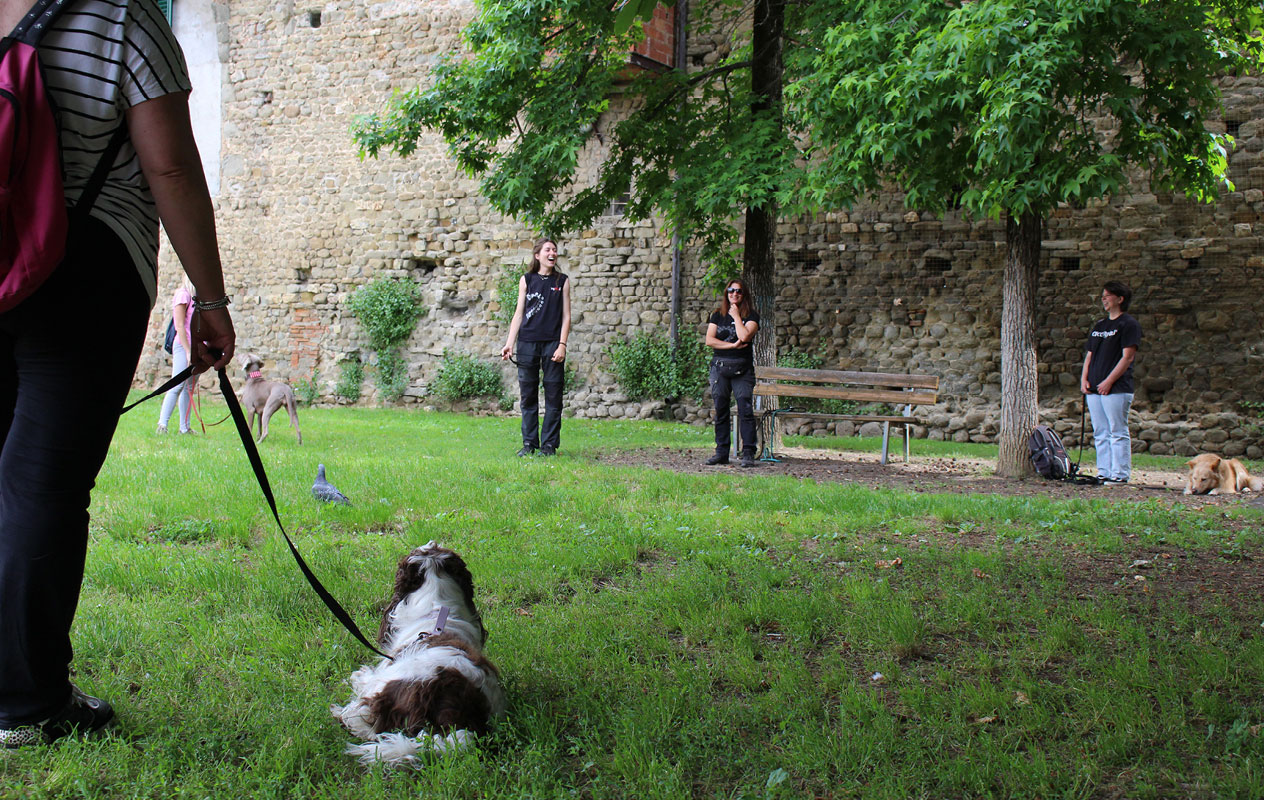 Lezione di gruppo in urbana