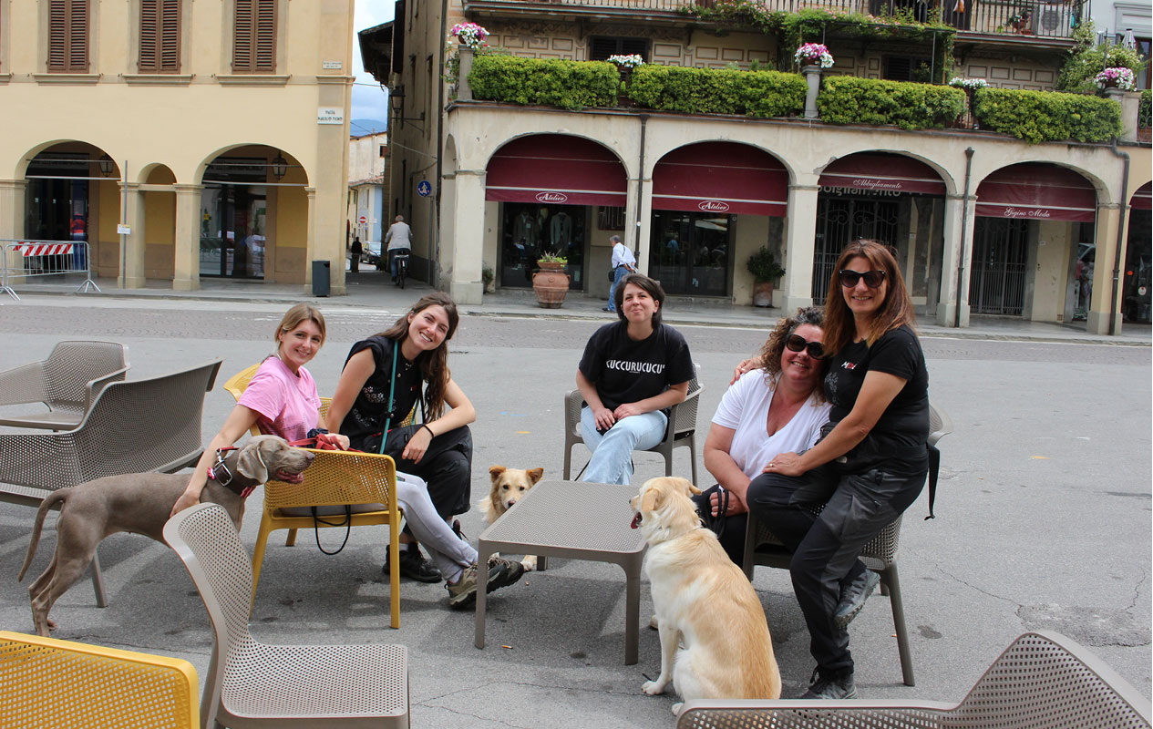 Esperienza a 6 zampe al bar