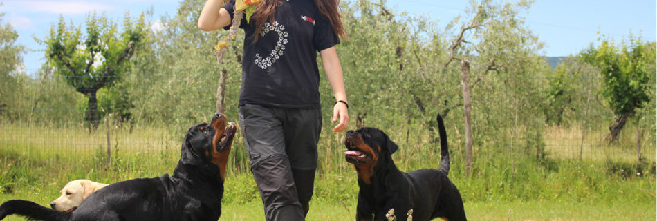 Cacio, Pablo, Triss e Diletta