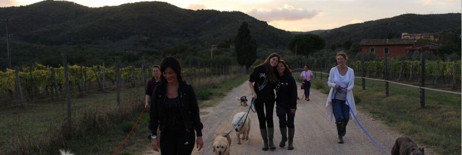 Passeggiata di gruppo al tramonto