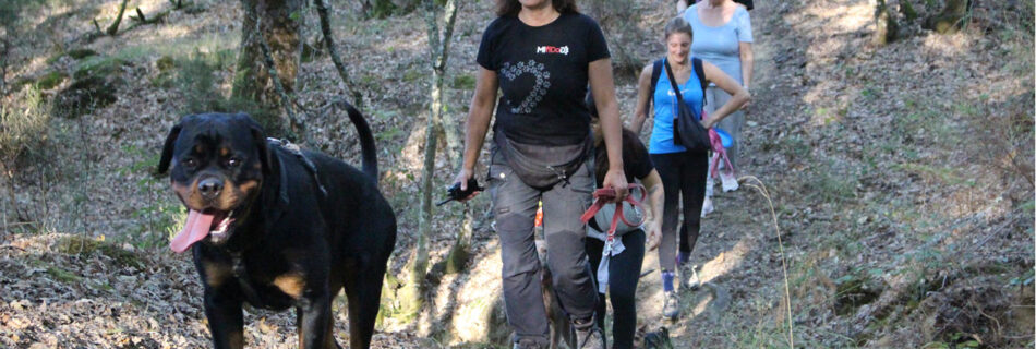 Passeggiata didattica nel bosco